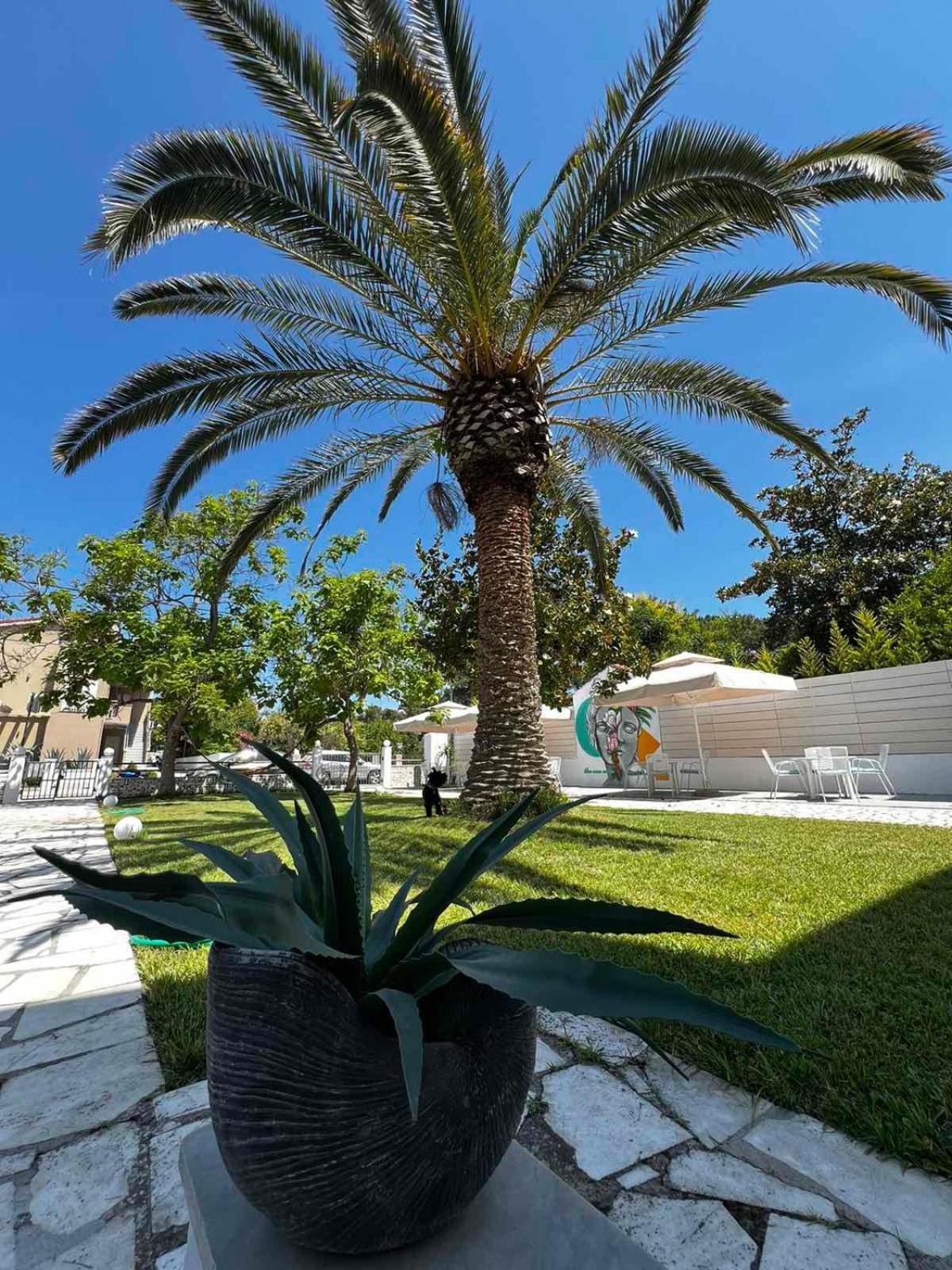 Hotel Proteas Ormos Prinou  Bagian luar foto